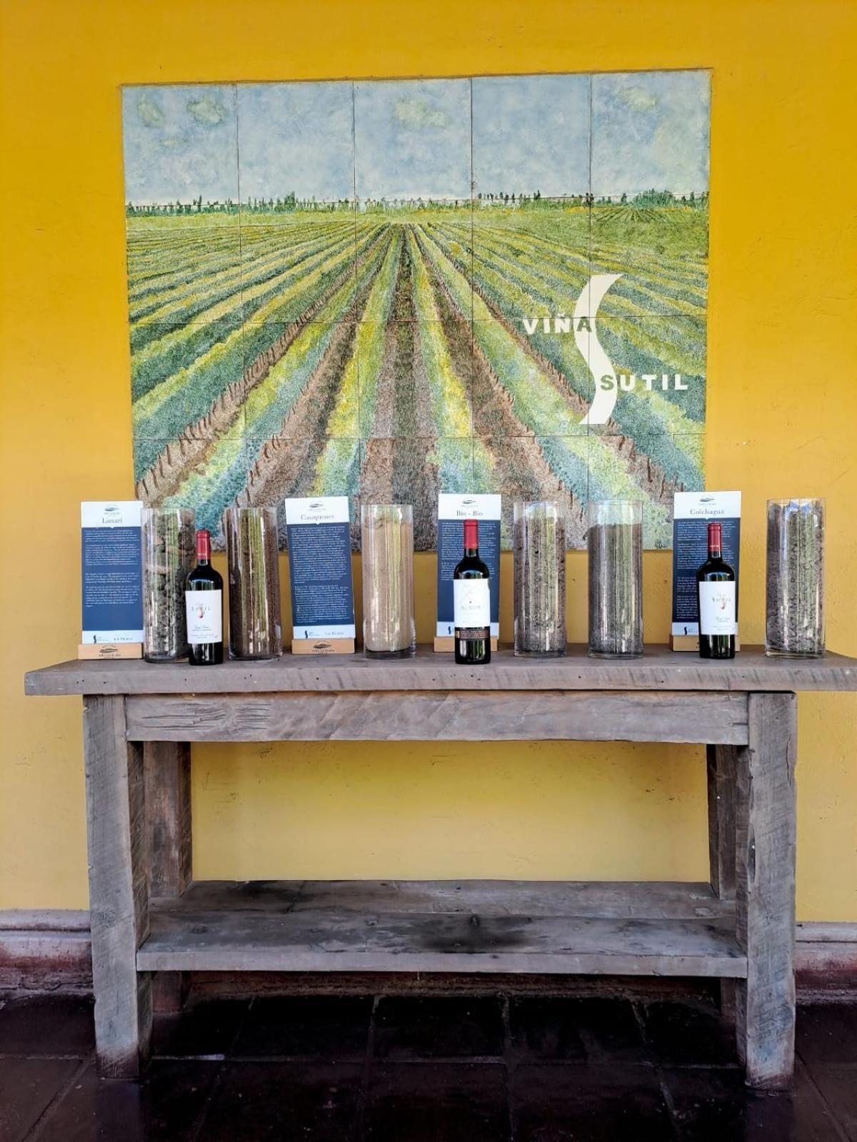 Vina La Playa Hotel & Winery Santa Cruz Εξωτερικό φωτογραφία